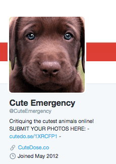 Screen Shot 2015-09-11 at 1.13.46 PM