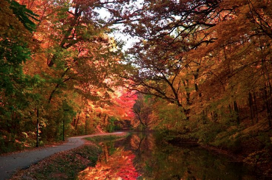 Screen Shot 2015-09-23 at 11.03.40 AM