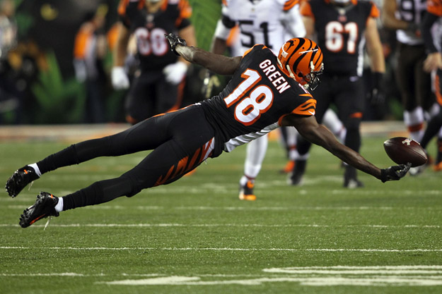 Cleveland Browns v Cincinnati Bengals